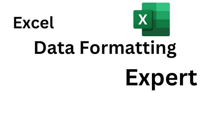 Gig Preview - Professional excel data cleaning and formatting services