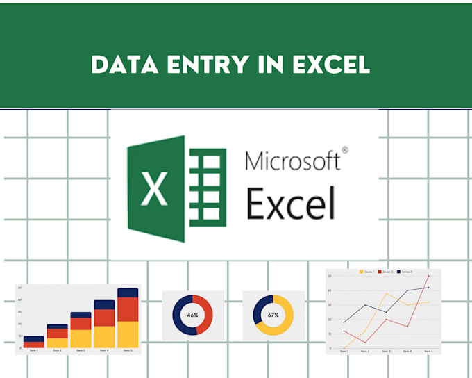 Gig Preview - Do data entry in excel