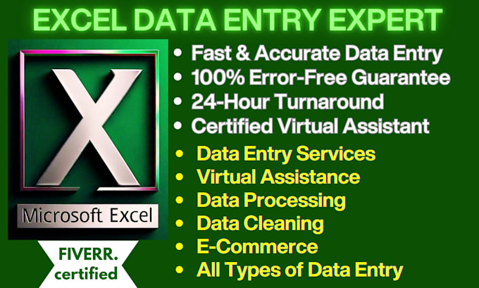 Gig Preview - Do expert excel spreadsheet data entry services, virtual data entry assistant