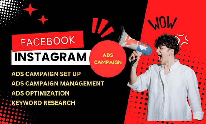 Gig Preview - Set up and  manage your facebook and instagram ads campaign