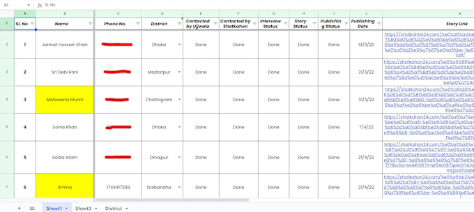 Gig Preview - Accurate data entry, web scraping, and wordpress data entry services