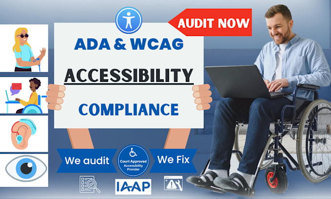 Gig Preview - Perform advanced web accessibility testing and wcag audits