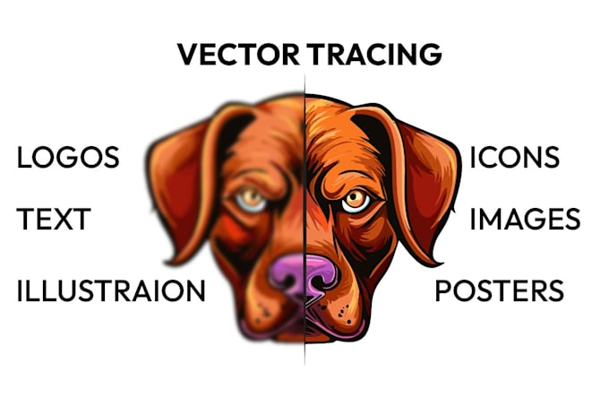 Gig Preview - Vector tracing, raster, jpg, or png to high quality vector