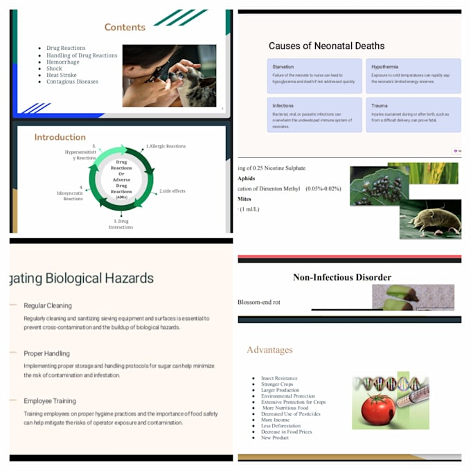 Gig Preview - Do educational, medical ppt , google slides