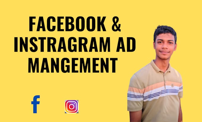 Gig Preview - Facebook and  instagram ads campaign manager