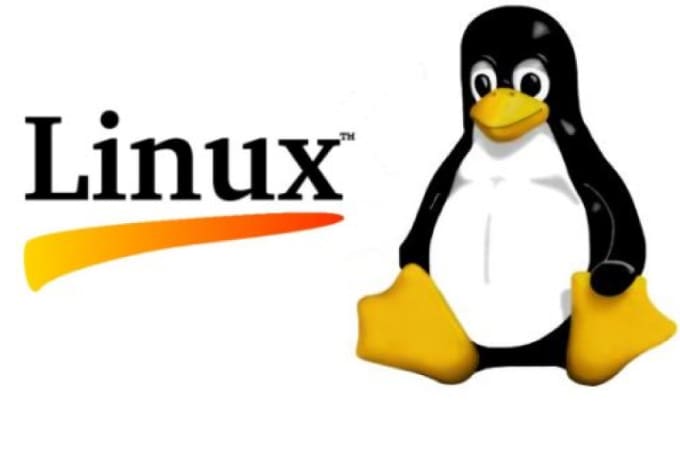 Gig Preview - Make shell scripts in linux