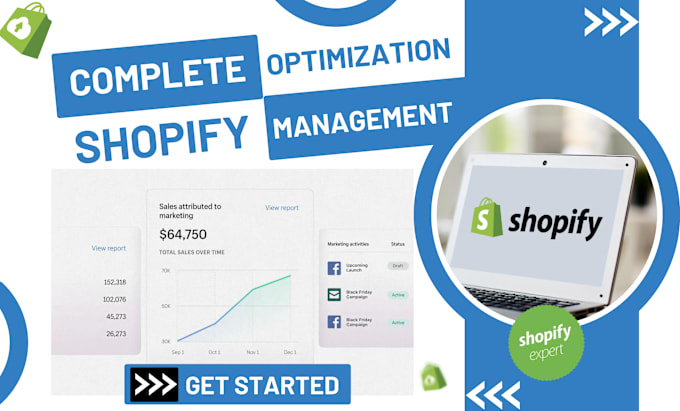 Gig Preview - Manage and optimize your shopify store