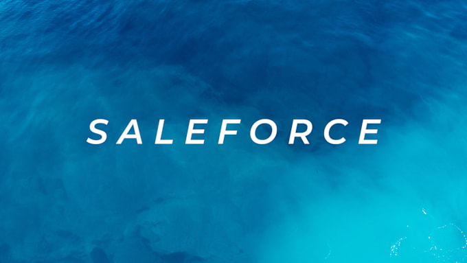 Bestseller - do salesforce flows dashboards trailheads certifications ranger