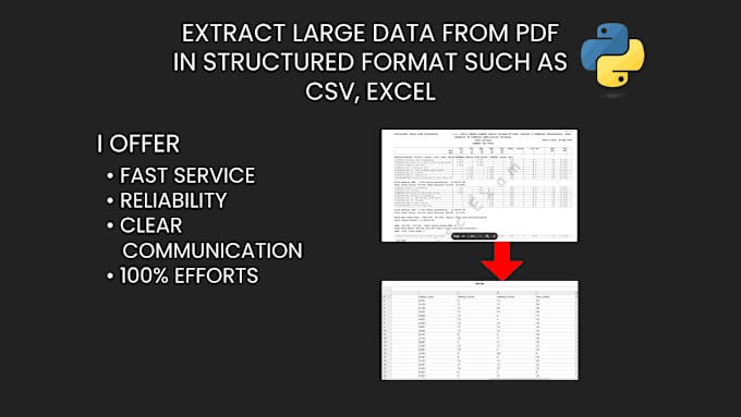 Gig Preview - Convert your PDF to excel, CSV