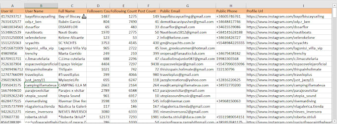 Gig Preview - Do followers and followings data extraction from instaa