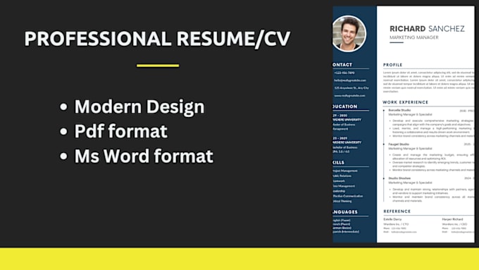 Gig Preview - Create a professional CV for you