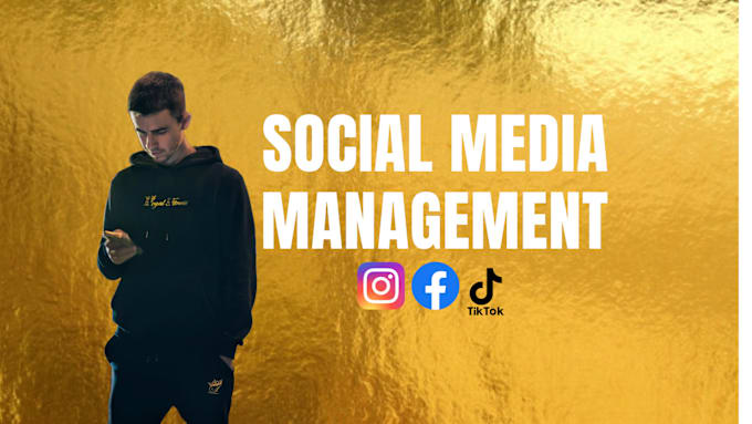 Gig Preview - Manage your social media