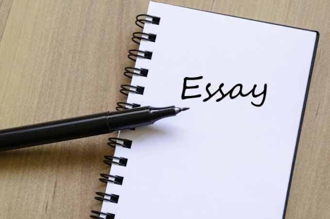 Bestseller - university standard essays and report writing