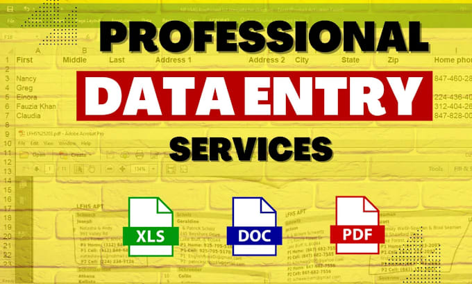 Gig Preview - Do data entry in service work