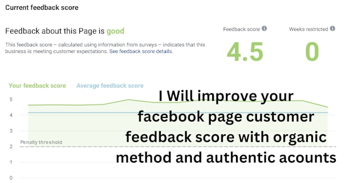 Gig Preview - Be excellent quality score and fb ads manager