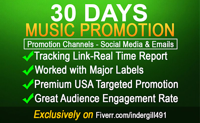 Gig Preview - Do viral spotify promotion for 30 days