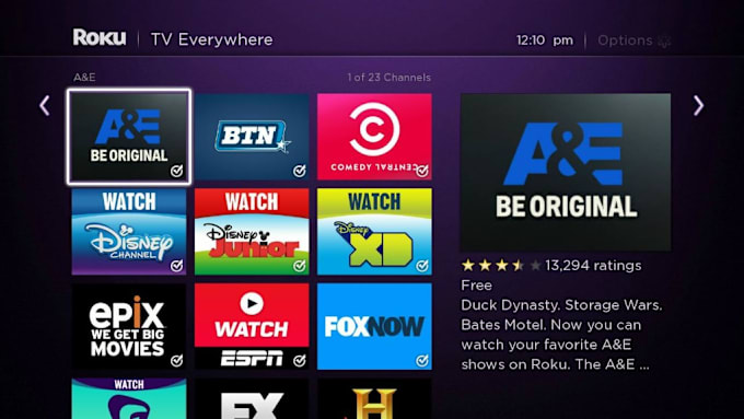 Gig Preview - Do custom roku app, roku channel, amazon fire tv channel and apple tv channel