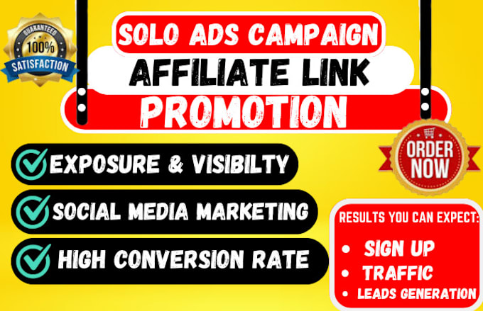 Gig Preview - Do top organic USA solo ads campaign mlm b2b leads generation link promotion