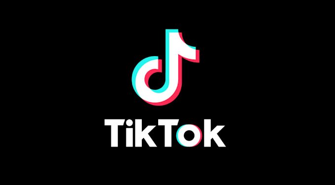 Gig Preview - Create viral tik tok dance video tiktok dance tik tok dance video for your music