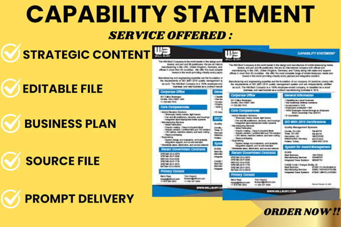 Gig Preview - Design government capability statement, government contract capability statement