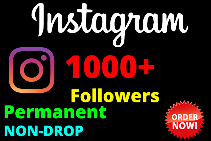 Gig Preview - Increase your instagram page followers from usa 1000 number super fast