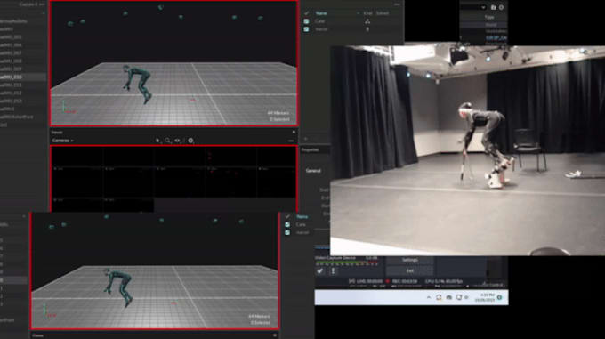 Gig Preview - Provide custom motion capture animation