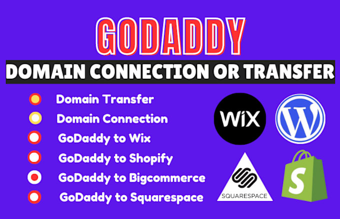 Gig Preview - Connect or transfer wordpress godaddy domain to shopify, wix, bigcommerce