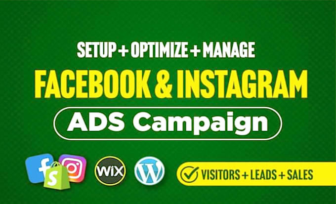 Gig Preview - Be setup facebook ads campaign for leads and sales