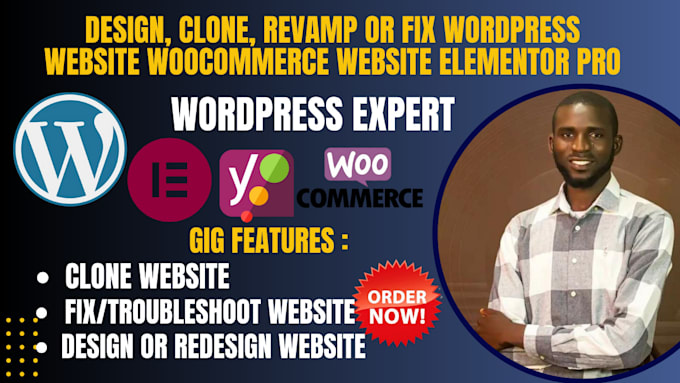 Gig Preview - Design, clone, revamp or fix wordpress website woocommerce website elementor pro