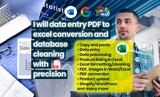 Gig Preview - Data entry PDF to excel conversion and database cleaning with precision