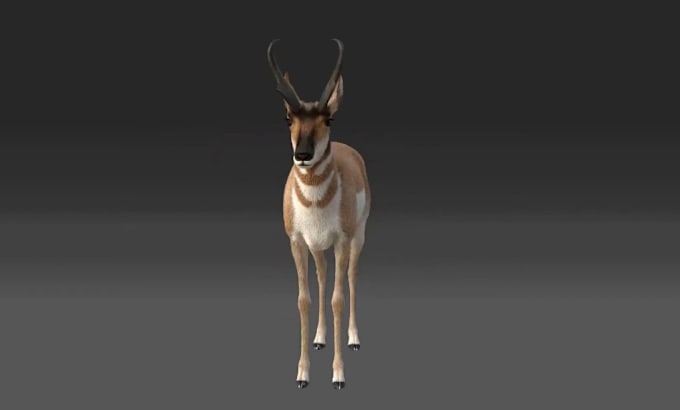 Gig Preview - Create realistic 3d animal animation, 3d animal rigging, 3d animal design