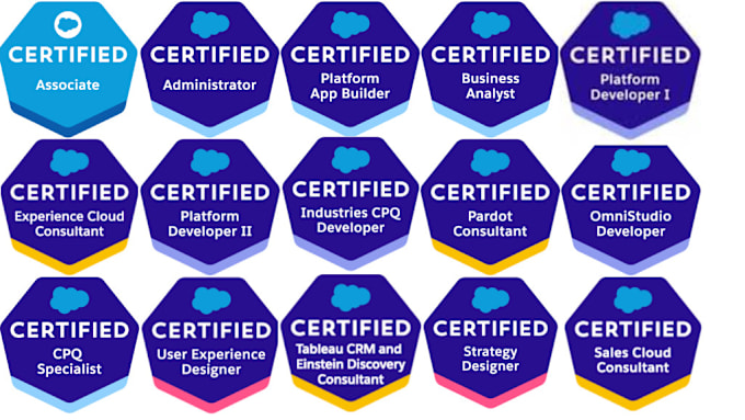 Gig Preview - Help you to pass all salesforce certification