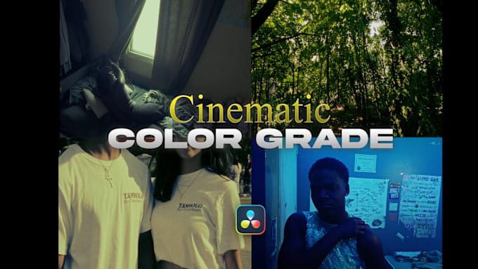 Gig Preview - Cinematic color grades as a professional colorist