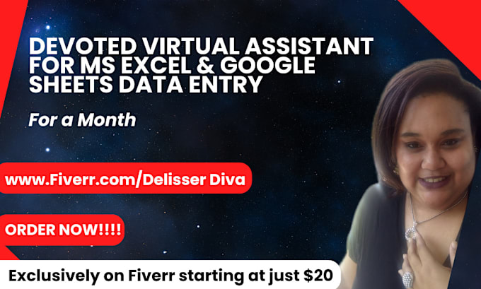 Gig Preview - Be your virtual assistant for any data entry