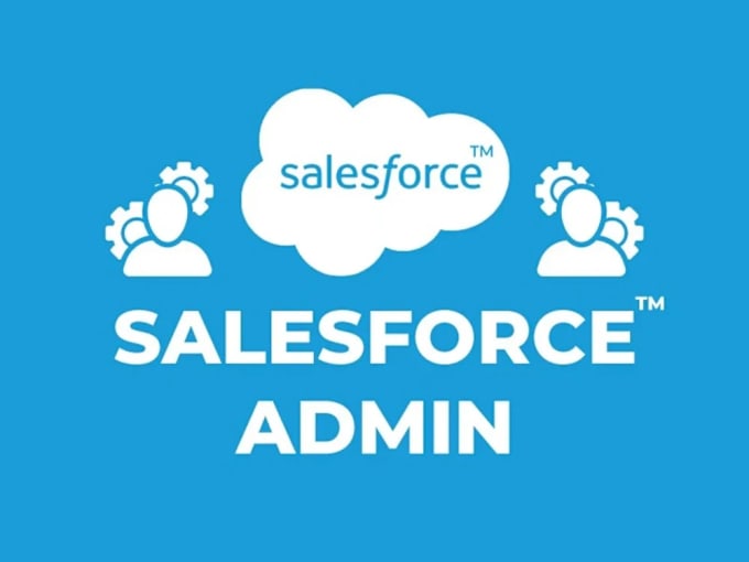 Gig Preview - Be certified salesforce admininstrator