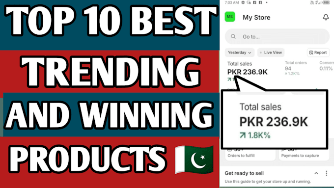 Gig Preview - Find 10 best winning dropshipping or ecommerce products in pakistan max profit