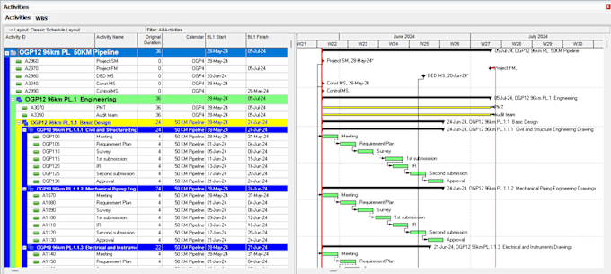 Gig Preview - Expertly manage your project schedule cost and risk using primavera p6 and ms