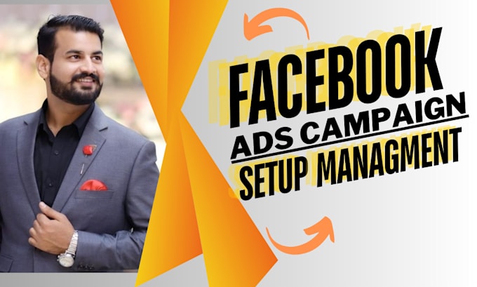 Gig Preview - Set up your facebook and instagram ad campaigns