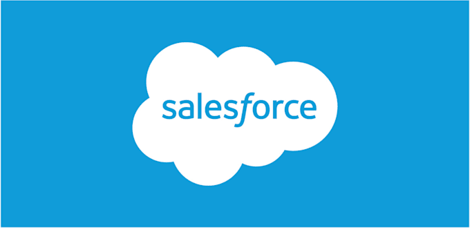 Gig Preview - Work as a salesforce consultant, developer and admin