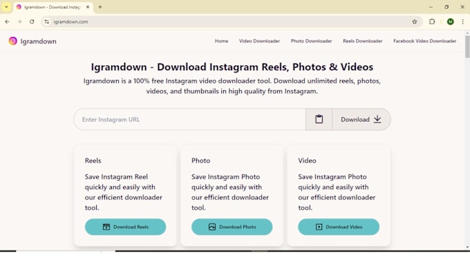 Gig Preview - Create an instagram video downloader website