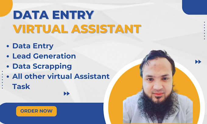 Gig Preview - Be your reliable data entry virtual assistant