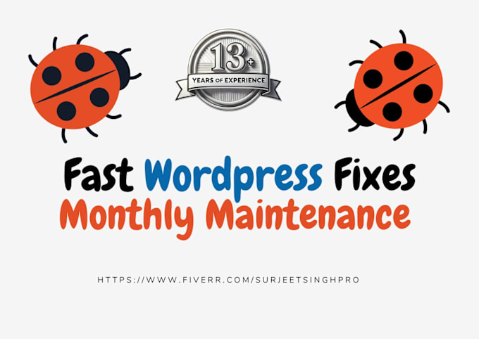 Gig Preview - Do monthly wordpress maintenance and support bug fixing, updates and more