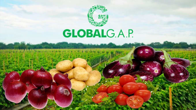 Gig Preview - Give globalgap certification documents for your farm