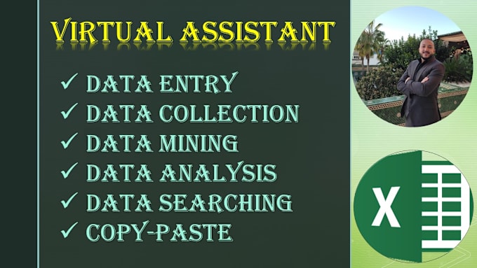 Gig Preview - Be your virtual assistant for data entry and data analysis