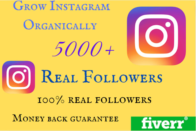 Gig Preview - Buy 5000 instagram usa followers super fast