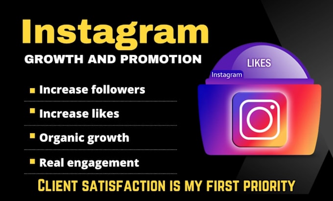 Gig Preview - Grow and promote your instagram organically fast