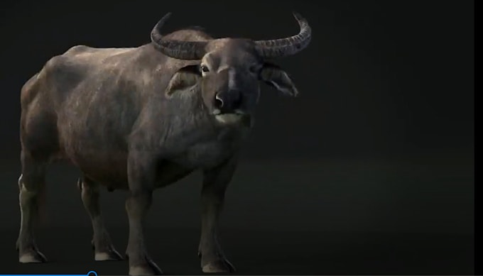 Bestseller - render realistic 3d animal model, animal animation, 3d character design and rig