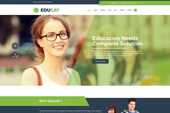 Gig Preview - Build education website and fix issues learndash wordpress website, lms website