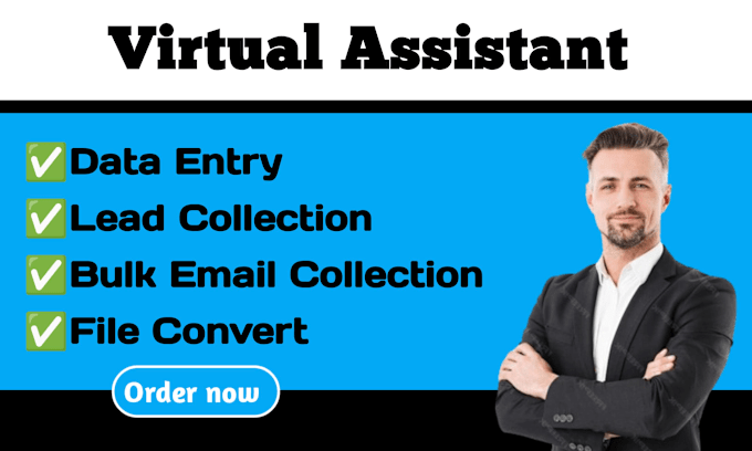 Gig Preview - Virtual assistant data entry, lead collection, email collection