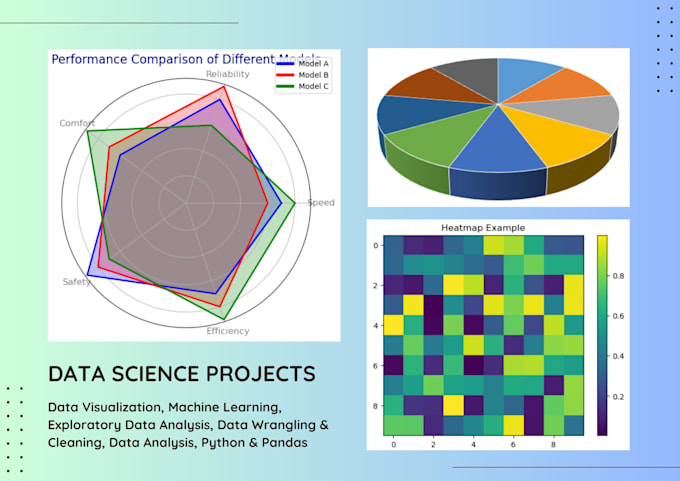 Gig Preview - Give expert data scientist services for eda, ml, and python projects